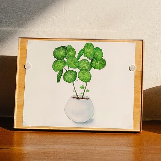Lineco Infinity 0.625" Clear Acid-Free Archival Photo Corners Self Adhesive - Image 6