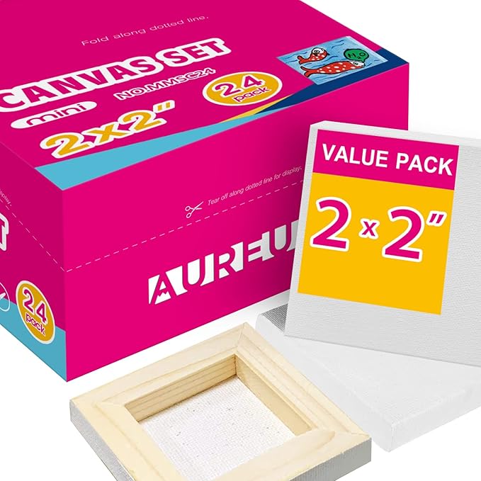 AUREUO Mini Stretched Canvas by AUREUO