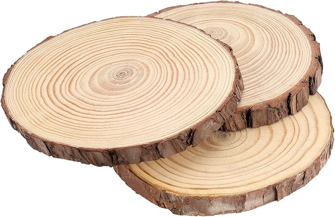JEUIHAU 8 PCS 8-9 Inches Natural Wood Slices, Unfinished Predrilled Wooden - Image 5