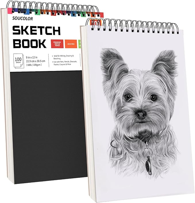 Professional Drawing Supplies for Sketch, Pastel Pencils & Sticks. Soucolor by Soucolor