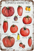 Funny Tin Sign Tomato Varieties Poste Metal Poster Plaques by HERYNLRN