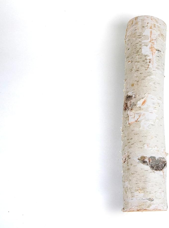 17 Inch Natural Birch Logs - Image 8