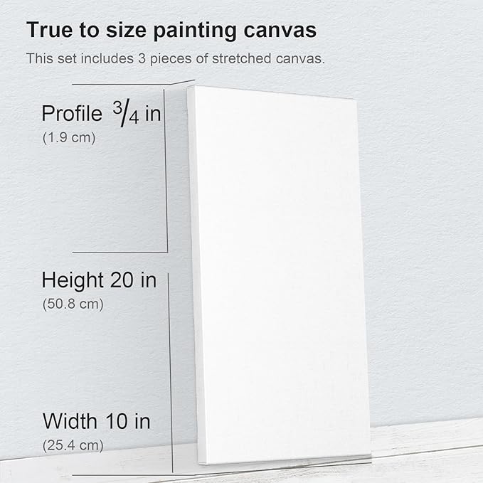 PHOENIX 10x20 Inch 3 Pack Artist Canvas - Image 2