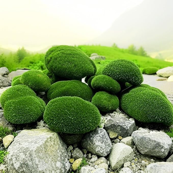 6 PCS Artificial Moss Rocks Decorative, Moss Stones, Fake Moss Decor - Image 7