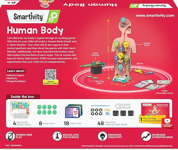 Smartivity Human Body Model for Kids 6-12 Years | Learn Body Organs, Functions - Image 6