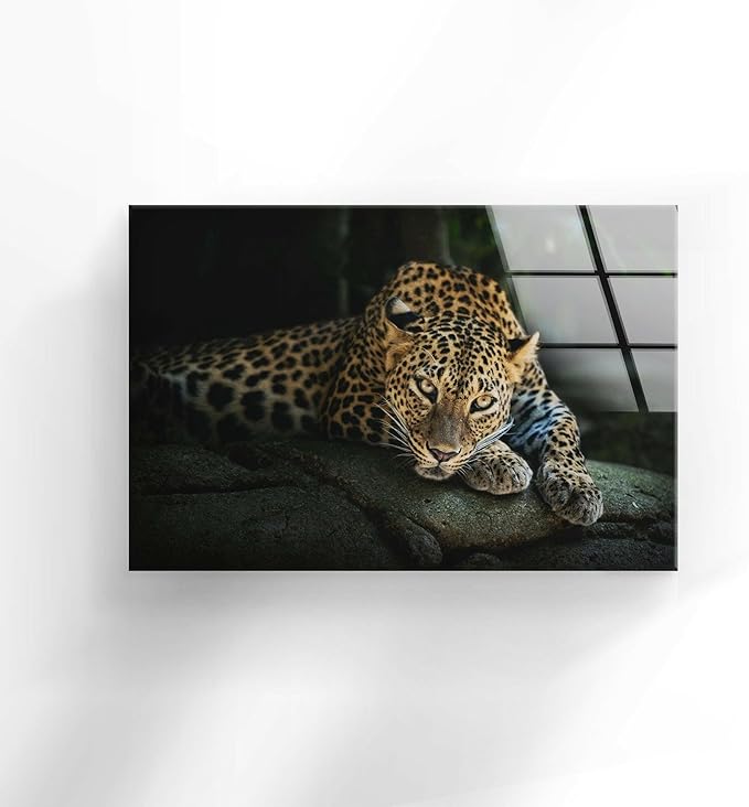 My Photostation.com 28Wx18H'' Fierce Leopard Glass Wall ArtTempered Glass - Image 4