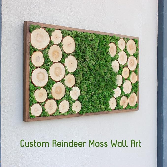 Preserved Reindeer Moss Natural Green DIY Kit Gardenning Art Wall Decor Florist - Image 6