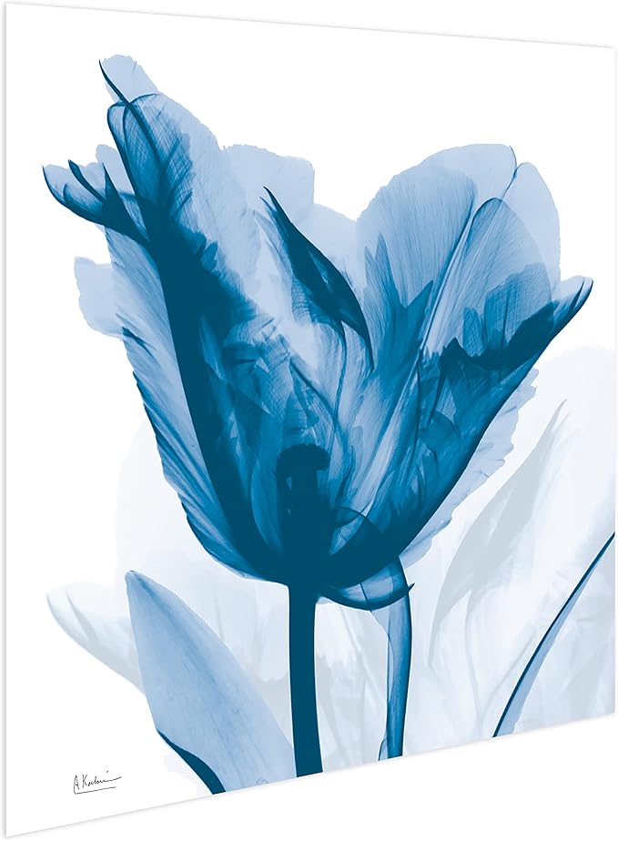 Empire Art Direct Frameless Free Floating Tempered Glass Panel Graphic Wall Art - Image 4