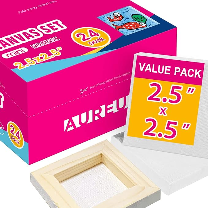 AUREUO Mini Stretched Canvas by AUREUO