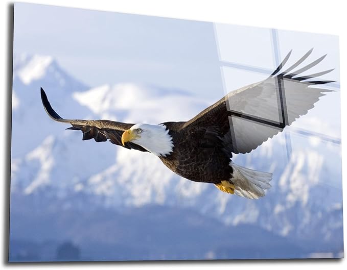 SpiritualHands Eagle Printed Tempered Glass Wall Art Painting - Image 9