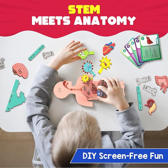Smartivity Human Body Model for Kids 6-12 Years | Learn Body Organs, Functions - Image 4