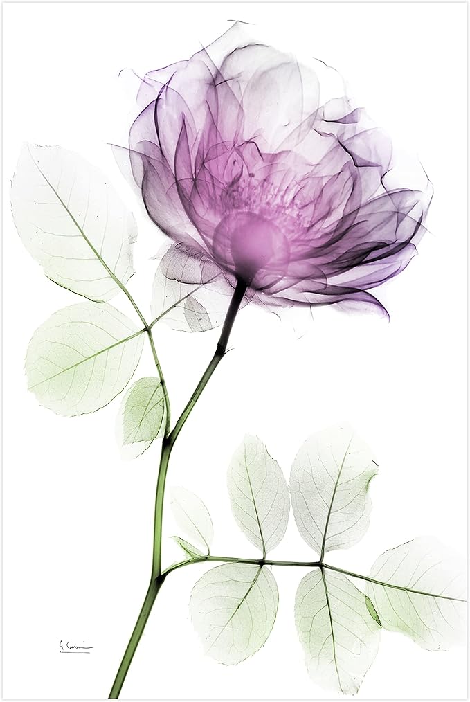 Empire Art Direct FramelessTempered Glass Wall Art, Decorative Art by EmpireArtDirect