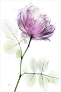 Empire Art Direct FramelessTempered Glass Wall Art, Decorative Art by EmpireArtDirect