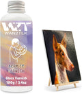 Acrylic Varnish, Professional Gloss Varnish by WAN2TLK