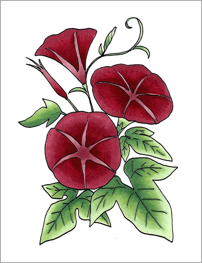 Copic Marker Sketch Color Fusion Markers, CSCF 3 - Image 3