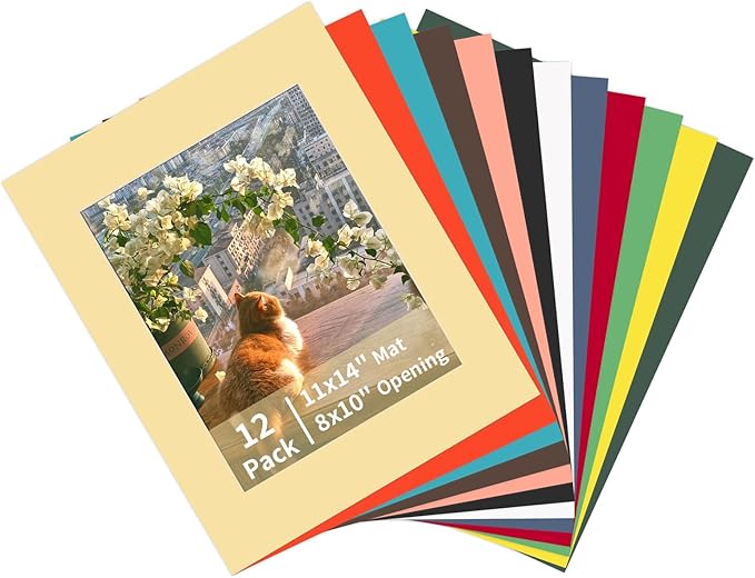 ZBEIVAN 12 Packs Mixed Colors 11x14 Picture Frame Mats by ZBEIVAN