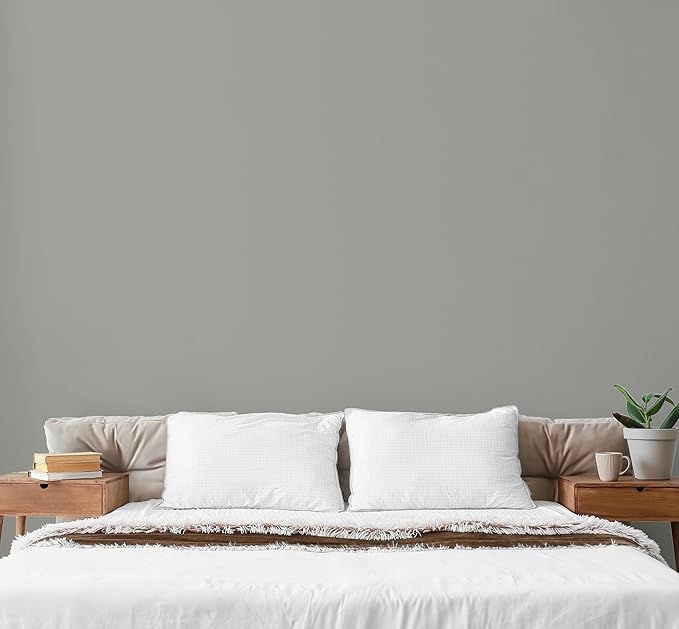 EVOLVE Paint & Primer: Environment-friendly, Low Sheen - Image 4