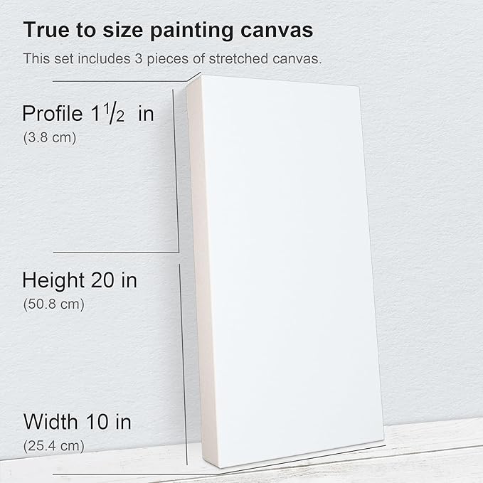 PHOENIX 10x20 Inch 3 Pack Gallery Canvas - Image 2