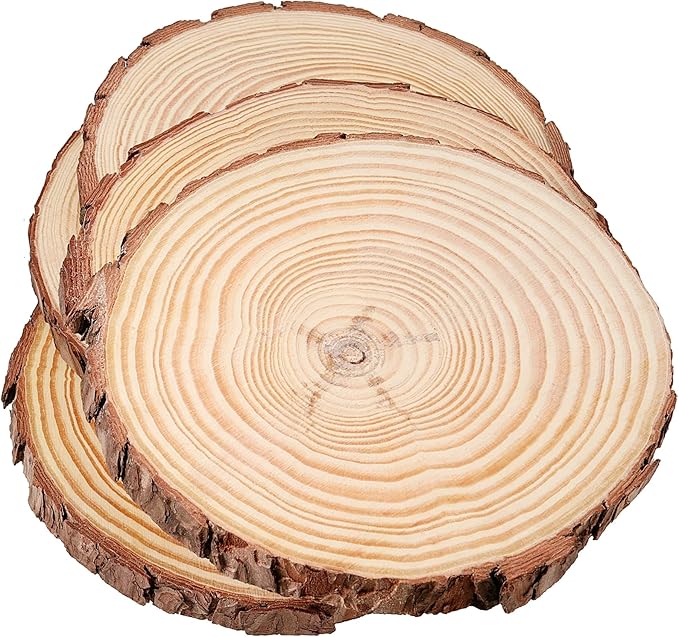 JEUIHAU 10 PCS 5.9-6.3 Inches Natural Unfinished Wood Slices, Round Wooden Tree - Image 5