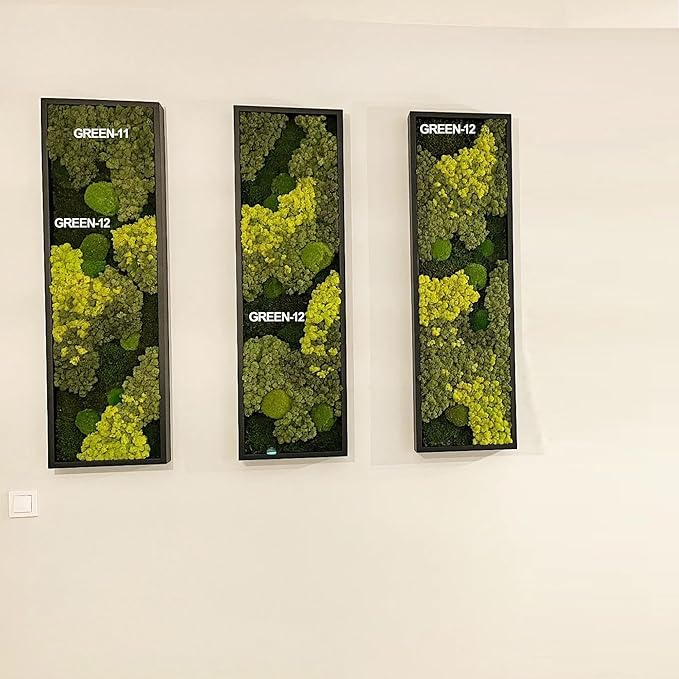 Preserved Reindeer Moss Natural Green DIY Kit Gardenning Art Wall Decor Florist - Image 4