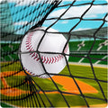 Baseball Softball Backstop Nets,Sports Net with 33ft Rope or Steel Hanging Kit, Nylon Nets Also for Basketball Soccer Lacrosse Hockey.