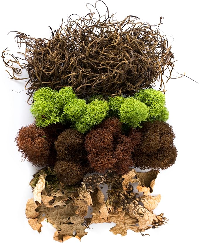 SuperMoss Moss Mix – Premium Decorative Moss - Image 2