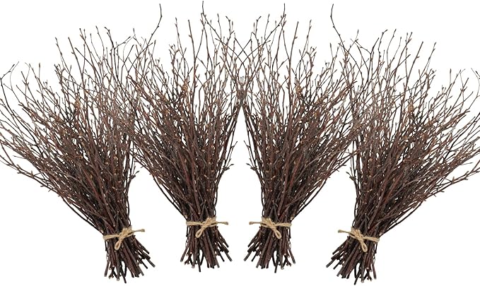 Uieke 200PCS Birch Twigs – 17 Inch Natural Dried Plants Decorative Birch by Uieke