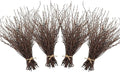 Uieke 200PCS Birch Twigs – 17 Inch Natural Dried Plants Decorative Birch by Uieke