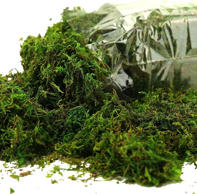Moss for Plants Indoor, 16OZ Fresh Green Artificial Moss for DIY Crafts - Image 7