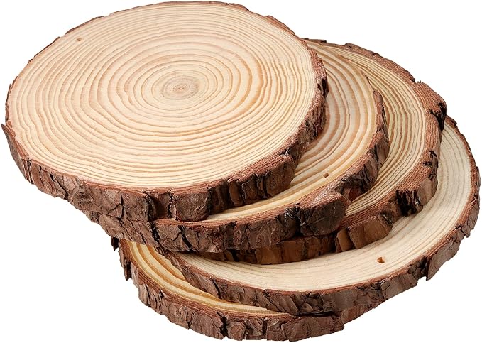 JEUIHAU 10 PCS 6.7-7 Inches Natural Wood Slices - Image 5