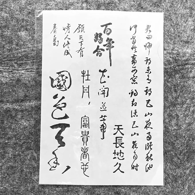 TIAMECH A4 Reusable Chinese Calligraphy Stencil - Image 4