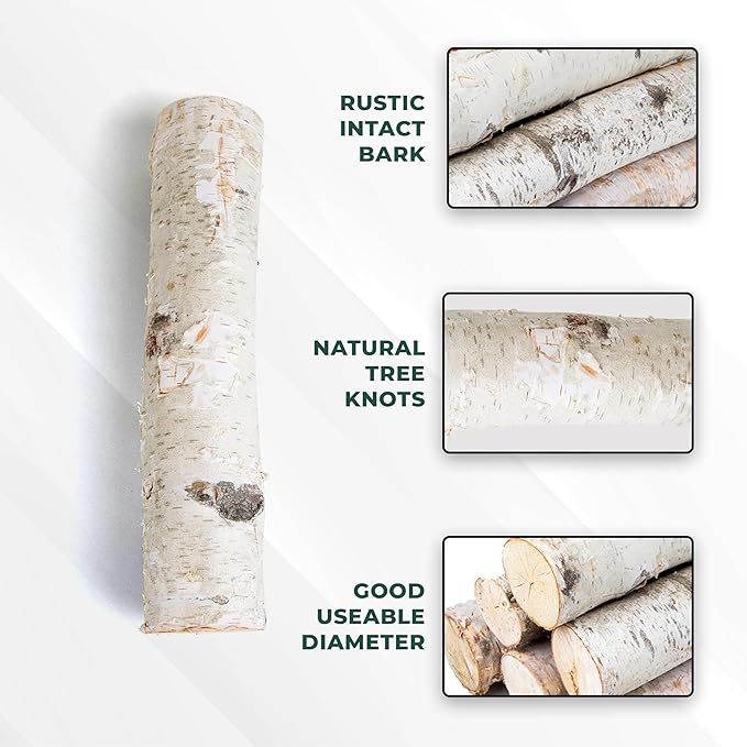 17 Inch Natural Birch Logs - Image 5