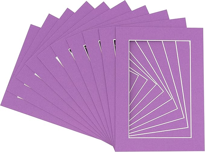 6x8 Mat for 8x10 Frame by Poster+Palooza