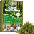 Halatool 6OZ Green Moss for Indoor Plants, 8QT Orchid Moss for Repotting by HALATOOL