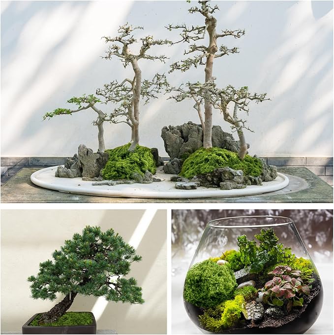 Fake Green Moss for Potted Plants, 10.6OZ Moss Decor Artificial Faux Moss for - Image 3