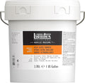 Liquitex Professional High Gloss Varnish by Liquitex