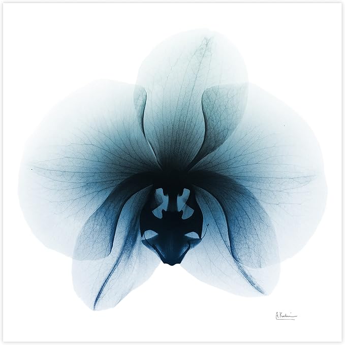 Empire Art Direct Frameless Free Floating Tempered Glass Panel Graphic Wall Art - Image 3