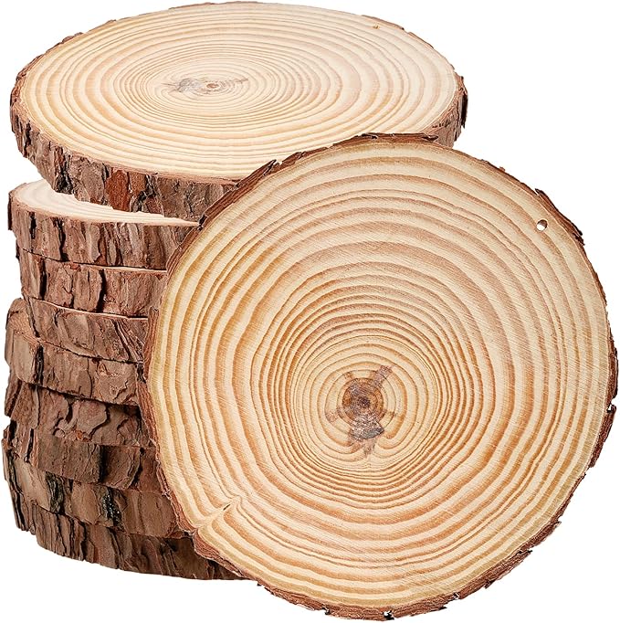 JEUIHAU 10 PCS 6.7-7 Inches Natural Wood Slices by JEUIHAU