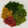 Preserved Reindeer Moss Natural Green DIY Kit Gardenning Art Wall Decor Florist by %E7%8E%B0%E5%9C%A8%E8%B4%AD%E4%B9%B0
