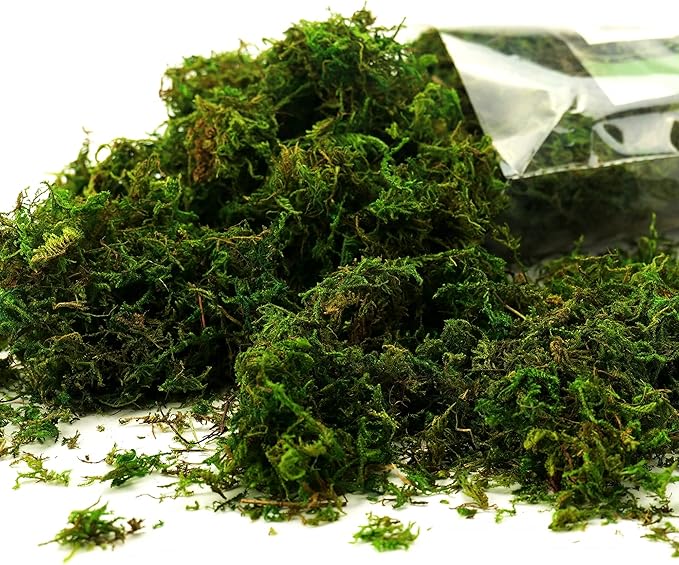 Moss for Plants Indoor, 16OZ Fresh Green Artificial Moss for DIY Crafts - Image 3