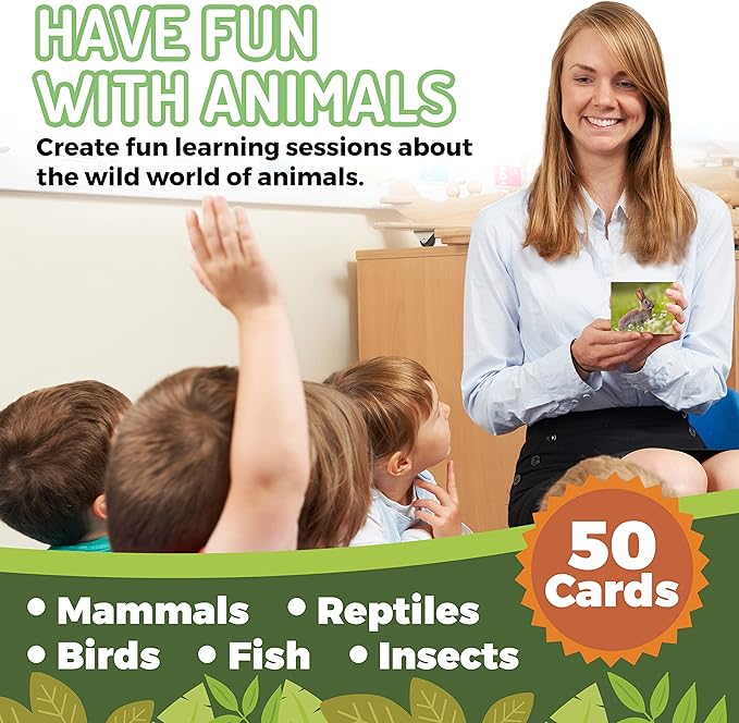 50 Animal Flash Cards - Image 4
