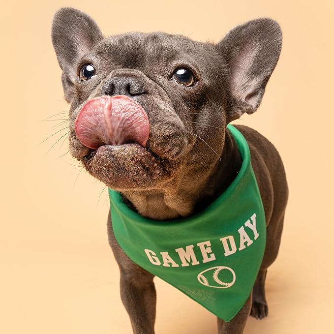 Game Day Dog Bandana | 100% Cotton Adjustable Triangle | Made in USA | Baseball| Sports | Biggest Fan | Game Day | X-Small | Camo (1054)