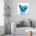 Empire Art Direct Frameless Free Floating Tempered Glass Panel Graphic Wall Art by EmpireArtDirect
