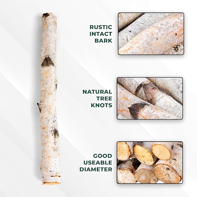 17 Inch Natural Birch Logs - Image 5