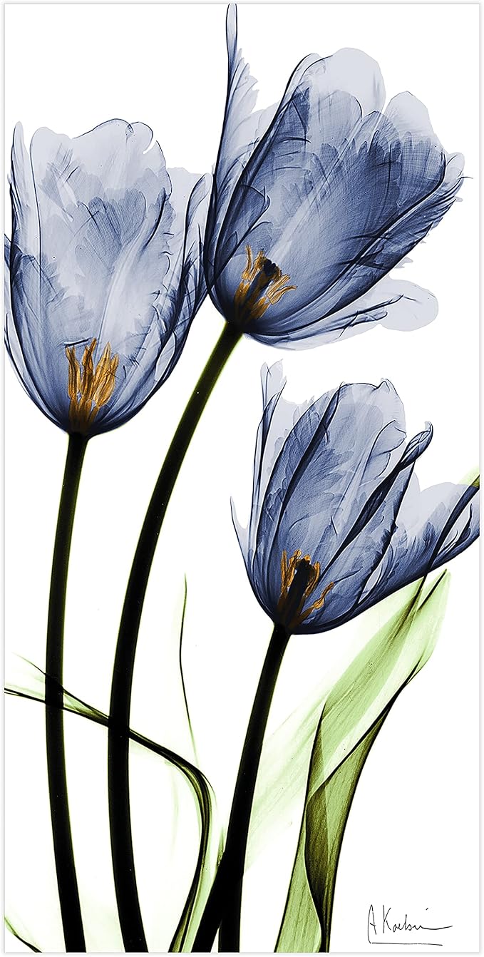 Empire Art Direct Frameless Free Floating Tempered Glass Panel Graphic Wall Art - Image 5