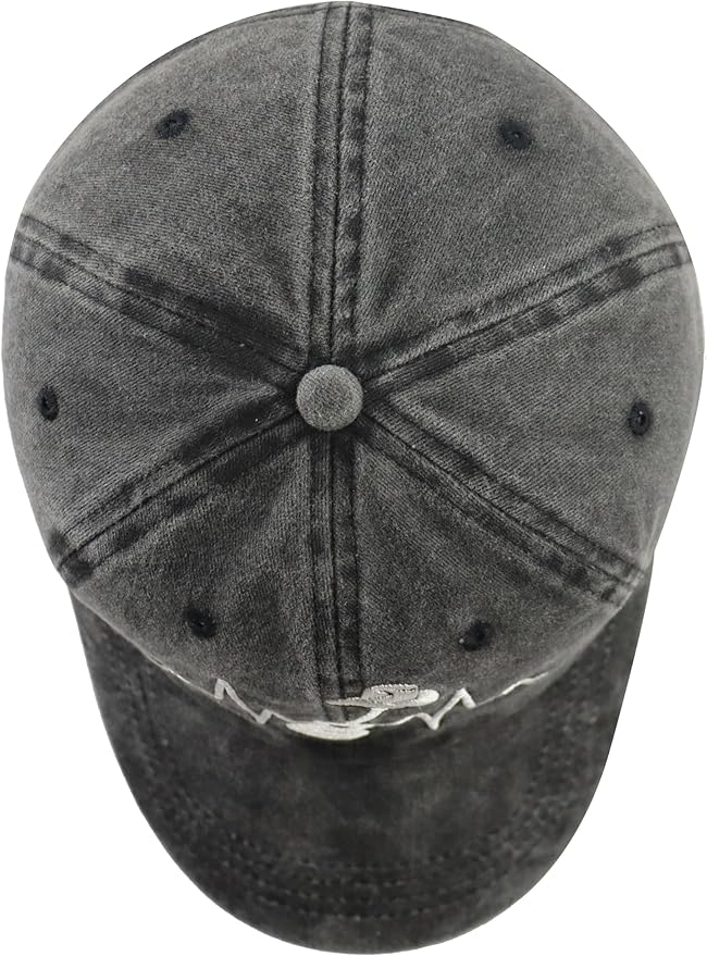 Country Music Guitar Heart Beat Hat for Men Women, Classic Embroidered Guitar Decor Musicians Baseball Cap