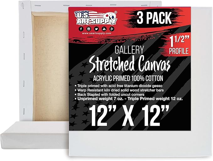 U.S. Art Supply Square Stretched Canvas by USArtSupply