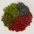 Preserved Reindeer Moss Natural Green DIY Kit Gardenning Art Wall Decor Florist by %E7%8E%B0%E5%9C%A8%E8%B4%AD%E4%B9%B0
