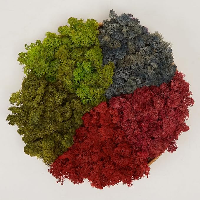 Preserved Reindeer Moss Natural Green DIY Kit Gardenning Art Wall Decor Florist by %E7%8E%B0%E5%9C%A8%E8%B4%AD%E4%B9%B0