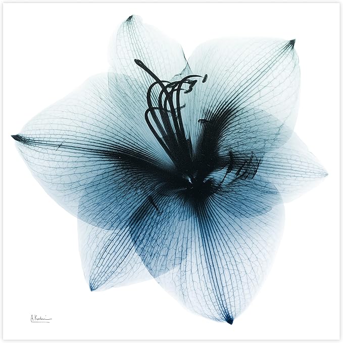Empire Art Direct Frameless Free Floating Tempered Glass Panel Graphic Wall Art - Image 3
